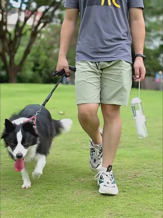 2 In 1 Pet Water Cup Segment Design Green Dog Walking Portable Drinking Cup  Dog Feeding Supplies Pet Supplies Dog Walking Water Feeder Pets Products